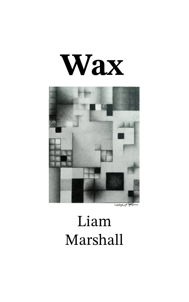 Cover for Wax, an abstract image of rectangles of different sizes and textures on a white background