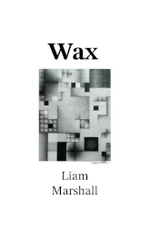 Cover for Wax, an abstract image of rectangles of different sizes and textures on a white background